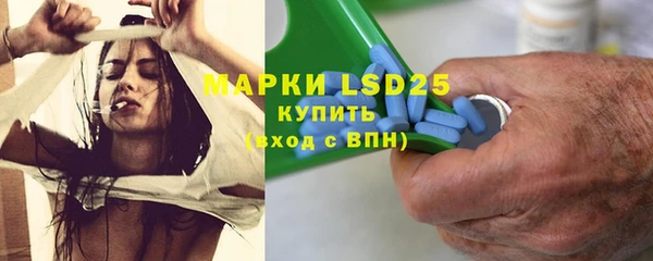 гашик Новокубанск
