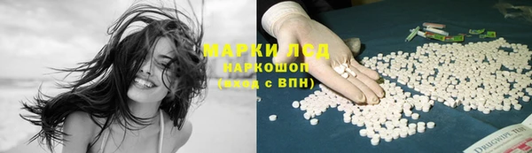 шишки Новозыбков