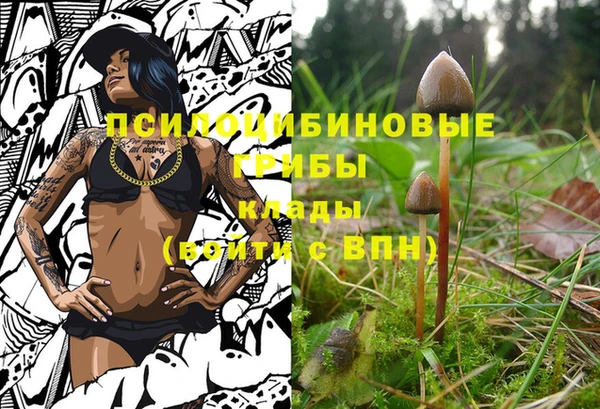 шишки Новозыбков