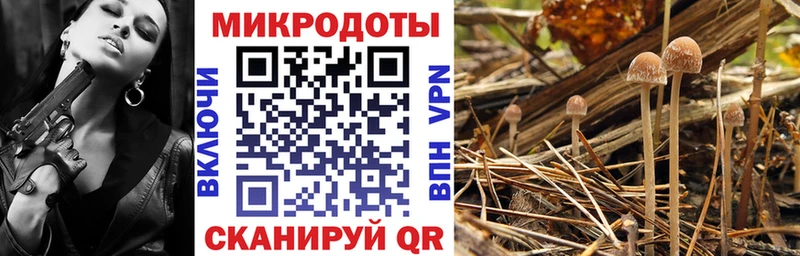 Галлюциногенные грибы мицелий  купить   это формула  Южа 